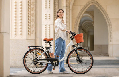 DYU C6 Pro - Electric bike - Wheelyshop