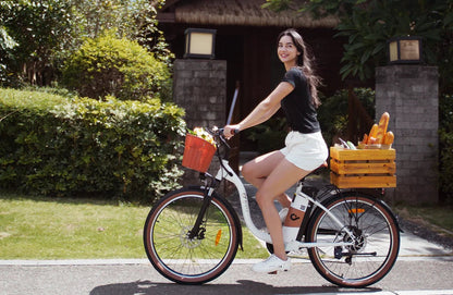 DYU C6 Pro - Electric bike - Wheelyshop