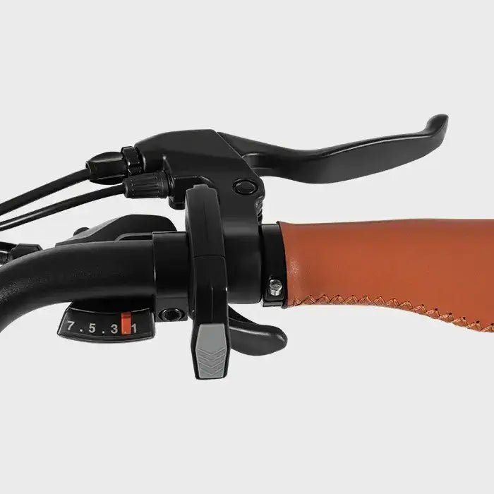 DYU C6 Pro - Electric bike - Wheelyshop