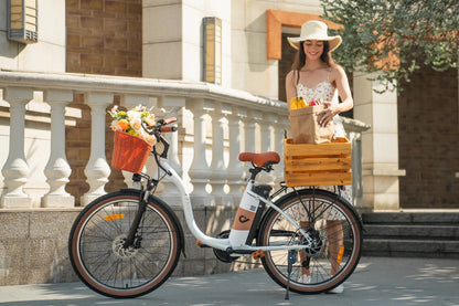 DYU C6 Pro - Electric bike - Wheelyshop