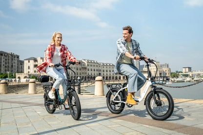 DYU C9 - Electric bike - Wheelyshop