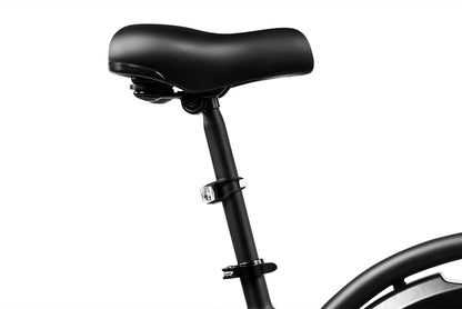 DYU D3F - Electric bike - Wheelyshop