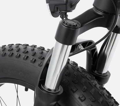 DYU Rey 750 - Bicicleta eléctrica - Tienda de ruedas