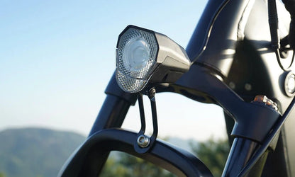 DYU Rey 750 - Bicicleta eléctrica - Tienda de ruedas