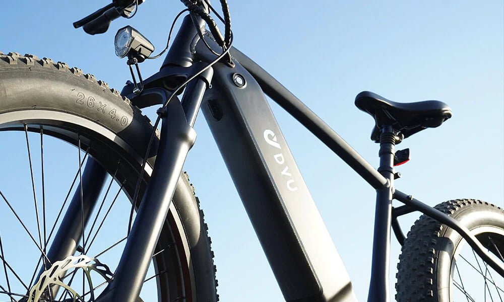 DYU Rey 750 - Bicicleta eléctrica - Tienda de ruedas