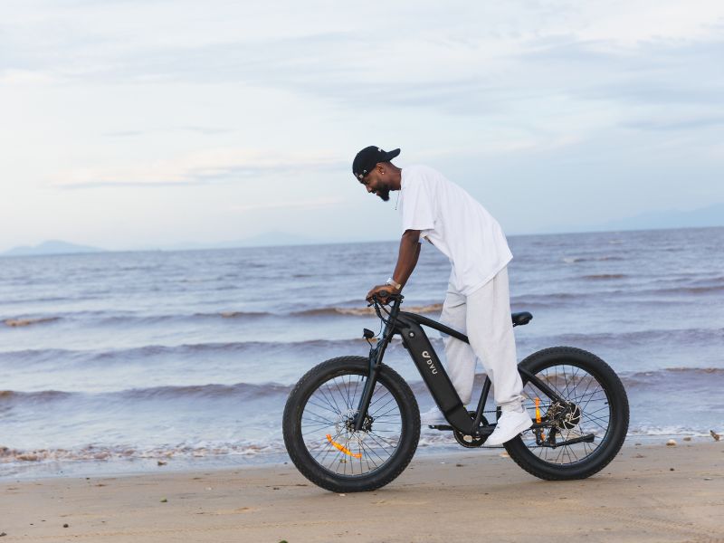 DYU Rey 750 - Bicicleta eléctrica - Tienda de ruedas