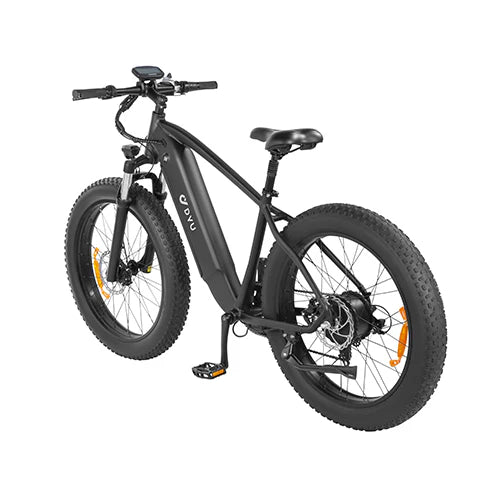 DYU Rey 750 - Bicicleta eléctrica - Tienda de ruedas