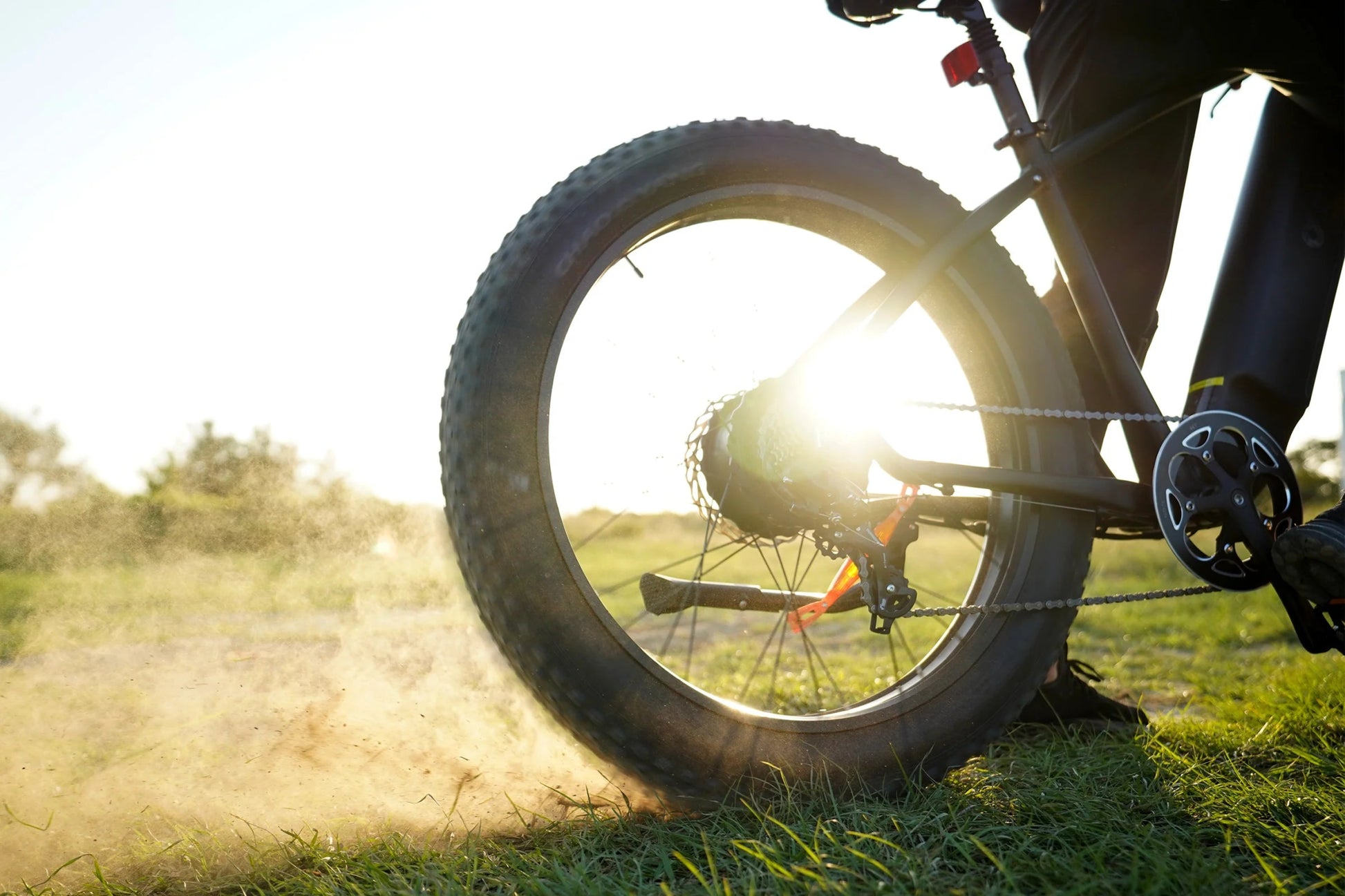 DYU Rey 750 - Bicicleta eléctrica - Tienda de ruedas