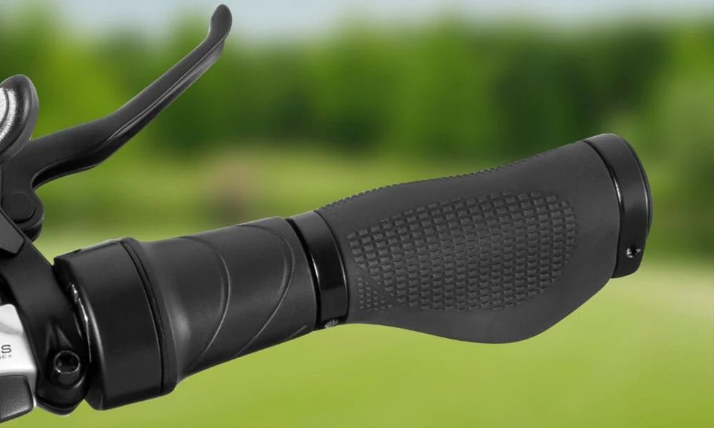 DYU Rey 750 - Bicicleta eléctrica - Tienda de ruedas