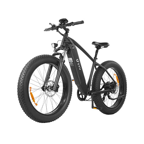 DYU King 750 - Electric bike - Wheelyshop