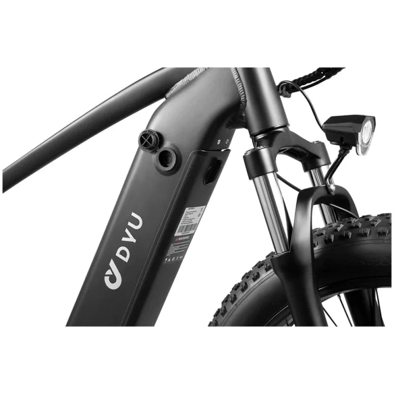 DYU Rey 750 - Bicicleta eléctrica - Tienda de ruedas