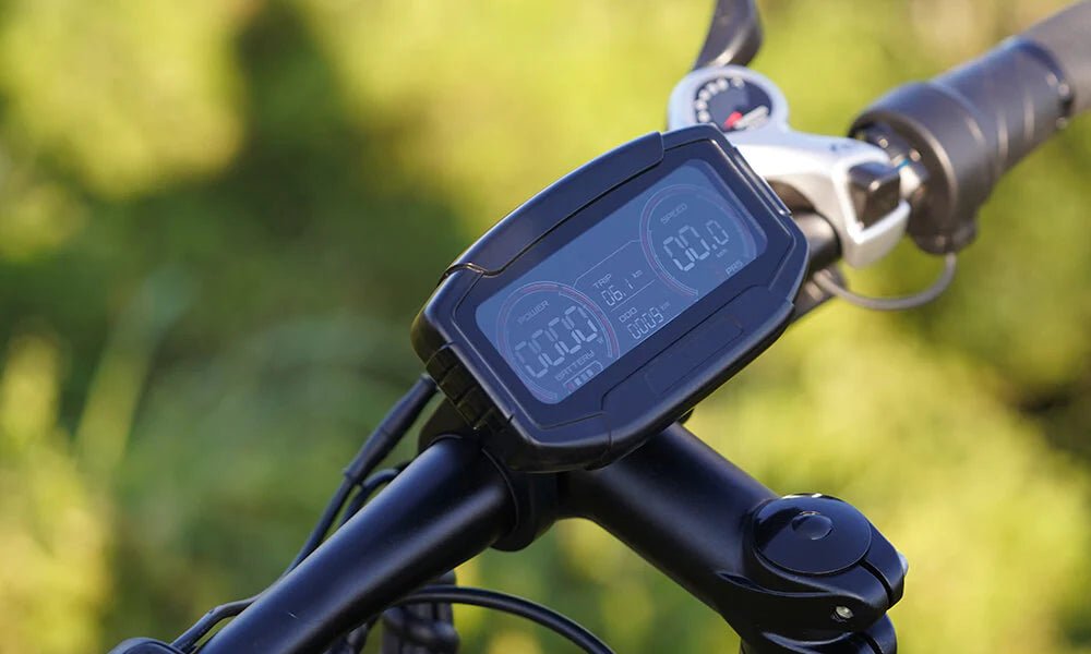 DYU Rey 750 - Bicicleta eléctrica - Tienda de ruedas