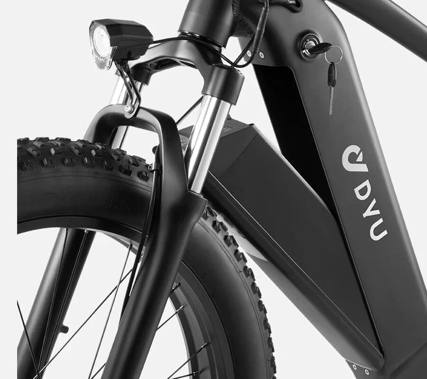 DYU Rey 750 - Bicicleta eléctrica - Tienda de ruedas