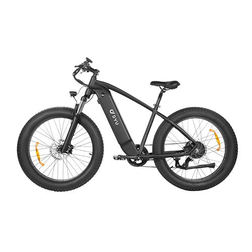 DYU King 750 - Electric bike - Wheelyshop