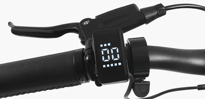 DYU Stroll 1 - Electric bike - Wheelyshop