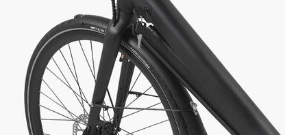 DYU Stroll 1 - Electric bike - Wheelyshop