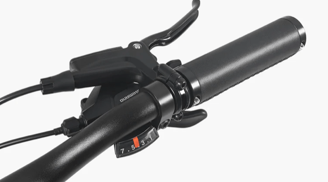 DYU Stroll 1 - Electric bike - Wheelyshop