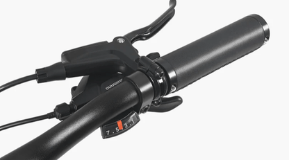 DYU Stroll 1 - Electric bike - Wheelyshop