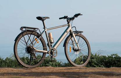 DYU Stroll 1 - Electric bike - Wheelyshop