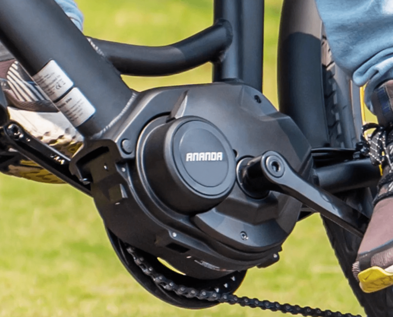 Eleglide C2 - Electric bike - Wheelyshop