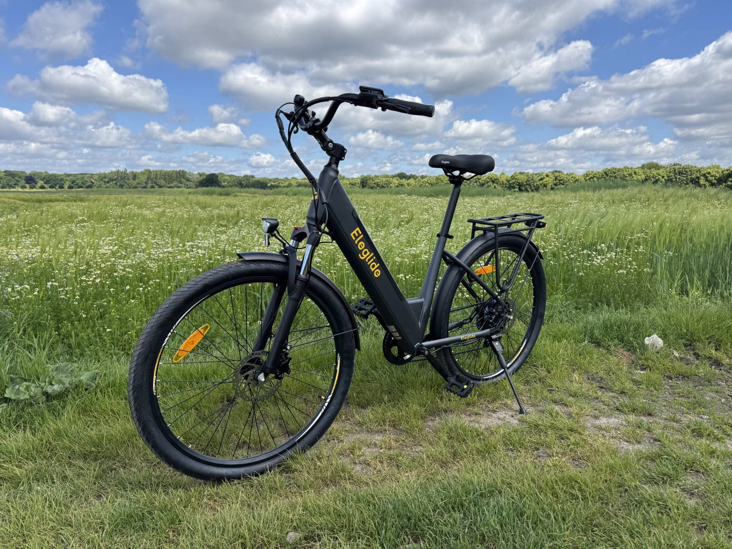 Eleglide T2 - Electric bike - Wheelyshop