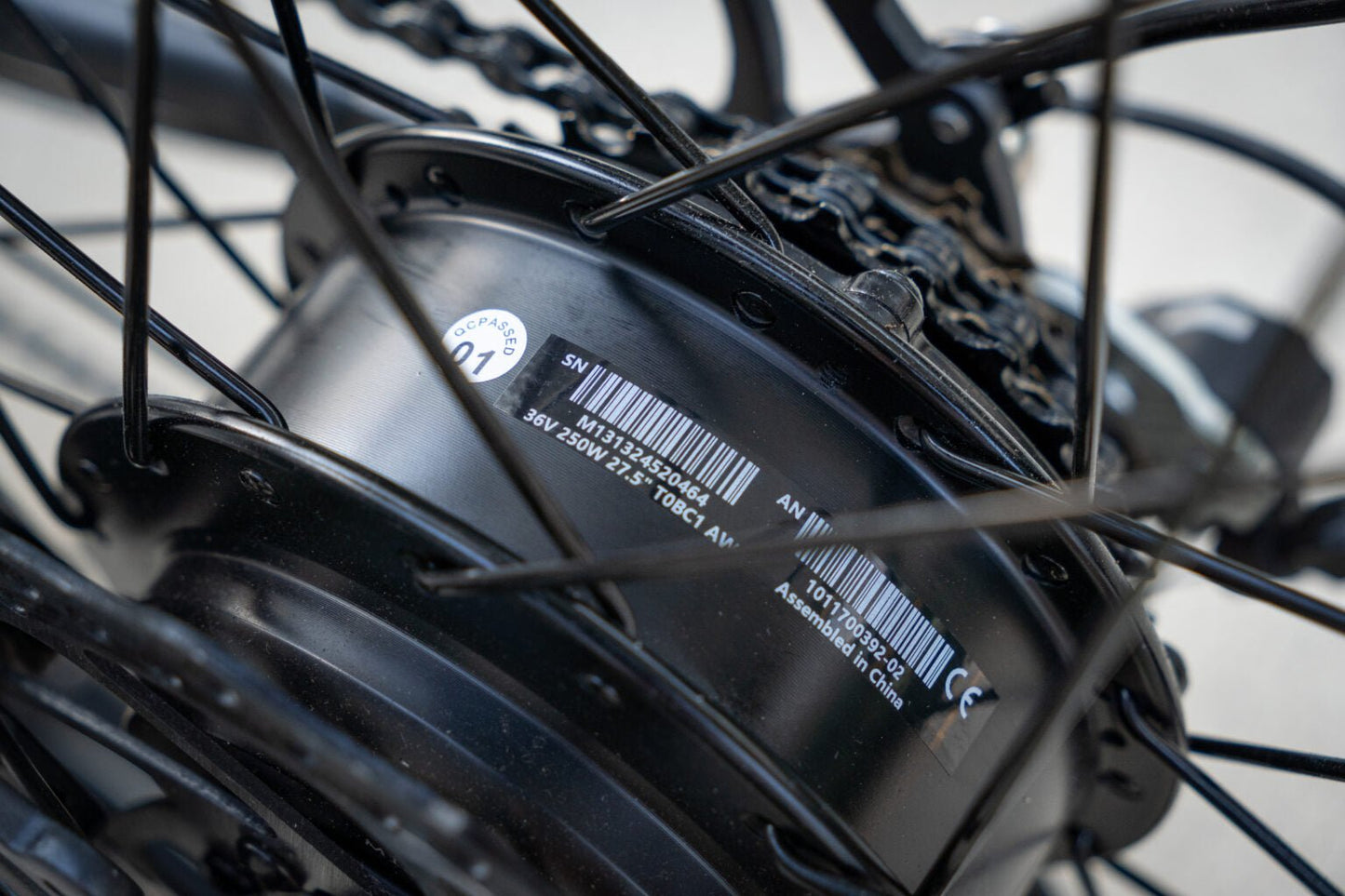 Eleglide T2 - Electric bike - Wheelyshop