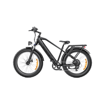 Bicicleta eléctrica fat bike ENGWE E26 vista de lado en color gris