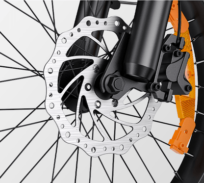 ENGWE L20 3.0 Boost - Electric bike - Wheelyshop