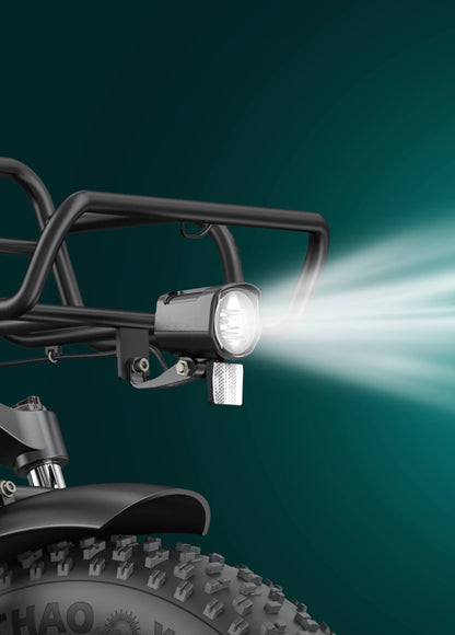 ENGWE L20 Boost - Electric bike - Wheelyshop