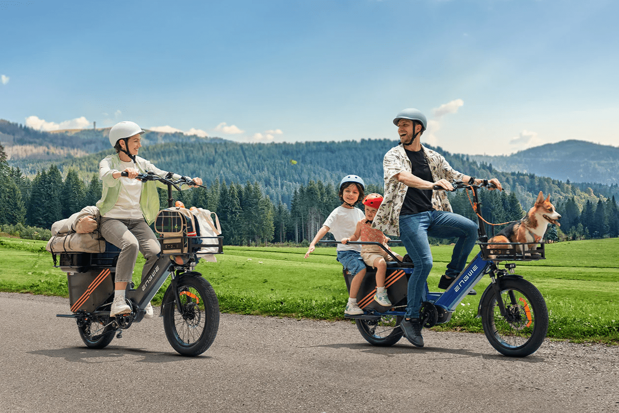 ENGWE LE20 - Electric bike - Wheelyshop