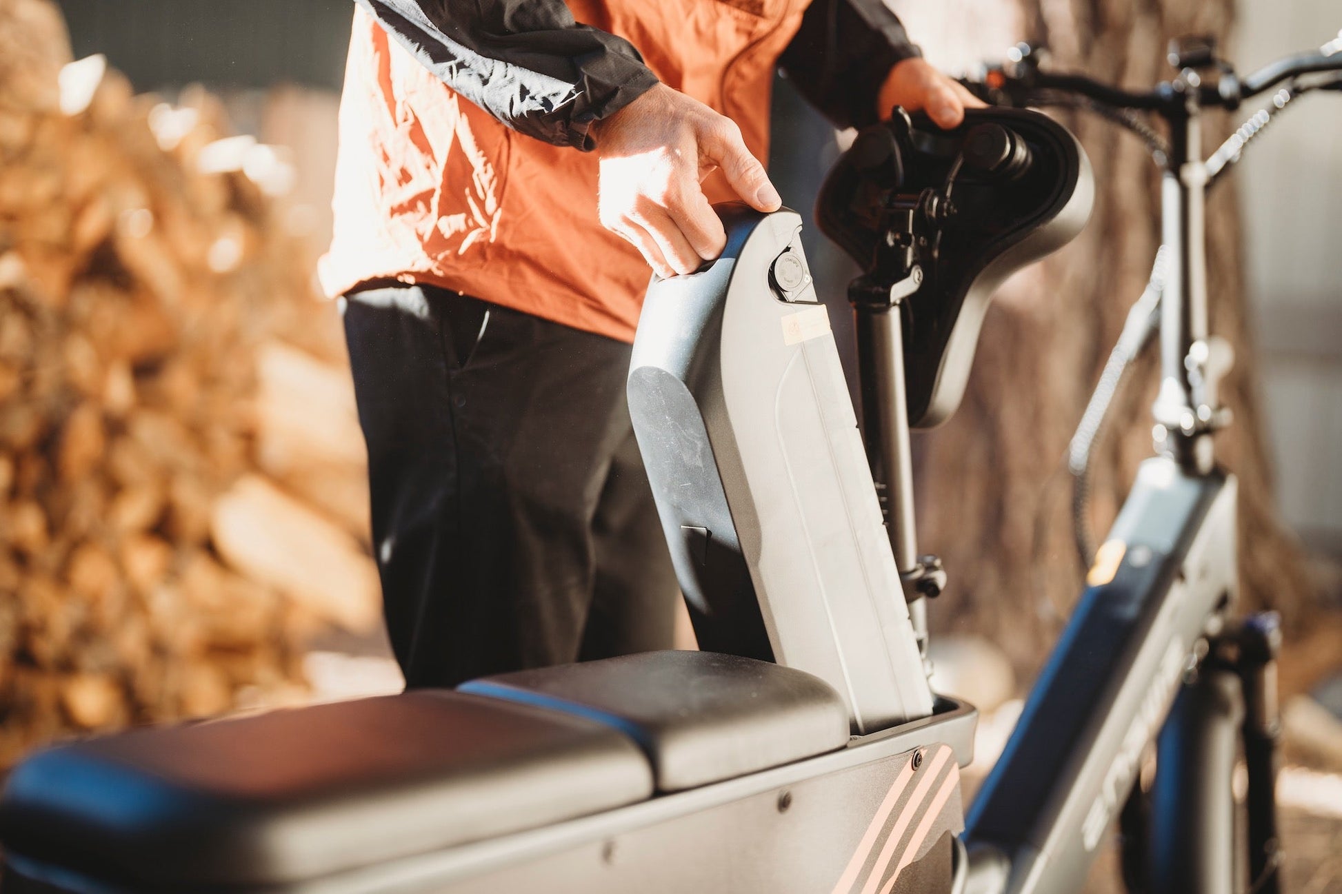 ENGWE LE20 - Electric bike - Wheelyshop