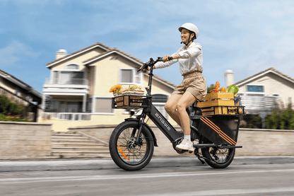 ENGWE LE20 - Electric bike - Wheelyshop