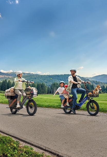 ENGWE LE20 - Electric bike - Wheelyshop