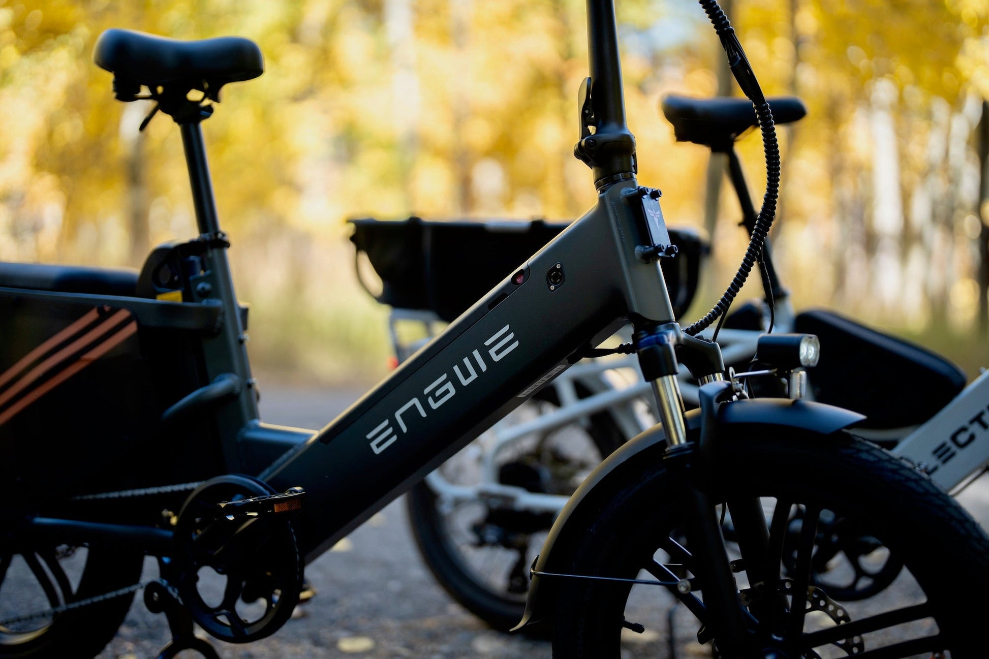 ENGWE LE20 - Electric bike - Wheelyshop