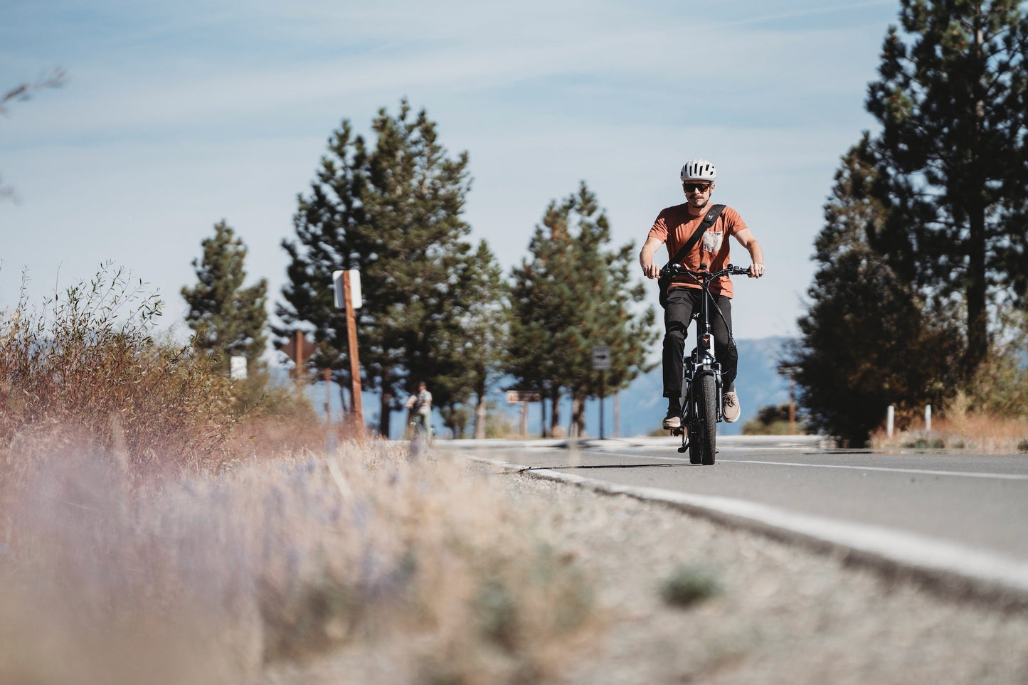 ENGWE LE20 - Electric bike - Wheelyshop