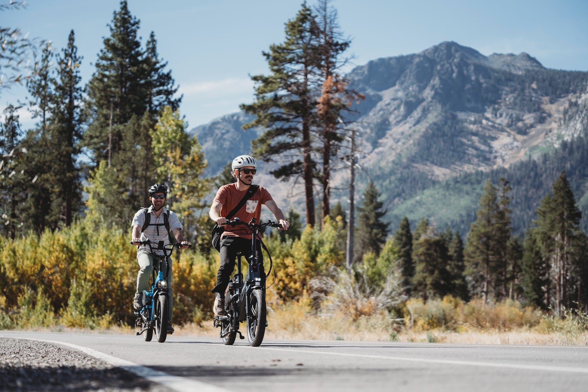 ENGWE LE20 - Electric bike - Wheelyshop