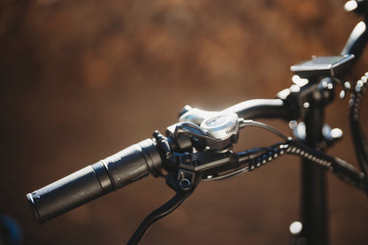 ENGWE LE20 - Electric bike - Wheelyshop