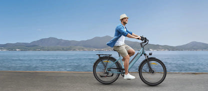 ENGWE P275 SE - Electric bike - Wheelyshop