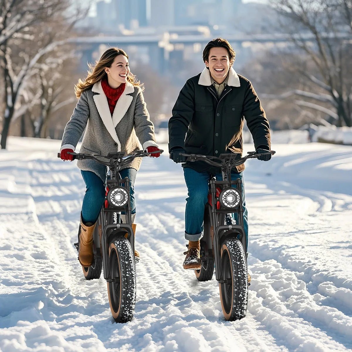 Hidoes B10 - Bicicleta eléctrica - Tienda de ruedas