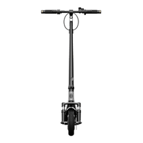 Patinete eléctrico HIKERBOY CURTIS DUAL PRO visto desde atrás en color gris