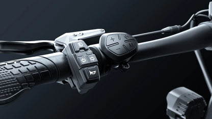 HILEY TIGER EVO GTR - Electric scooter - Wheelyshop