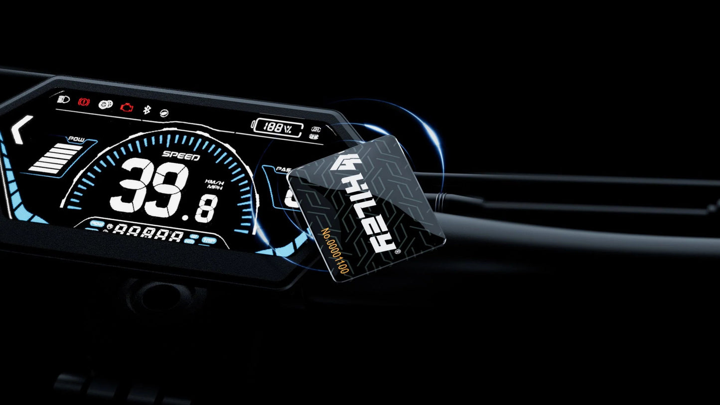 HILEY TIGER EVO GTR - Electric scooter - Wheelyshop