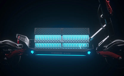 HILEY TIGER EVO GTR - Electric scooter - Wheelyshop