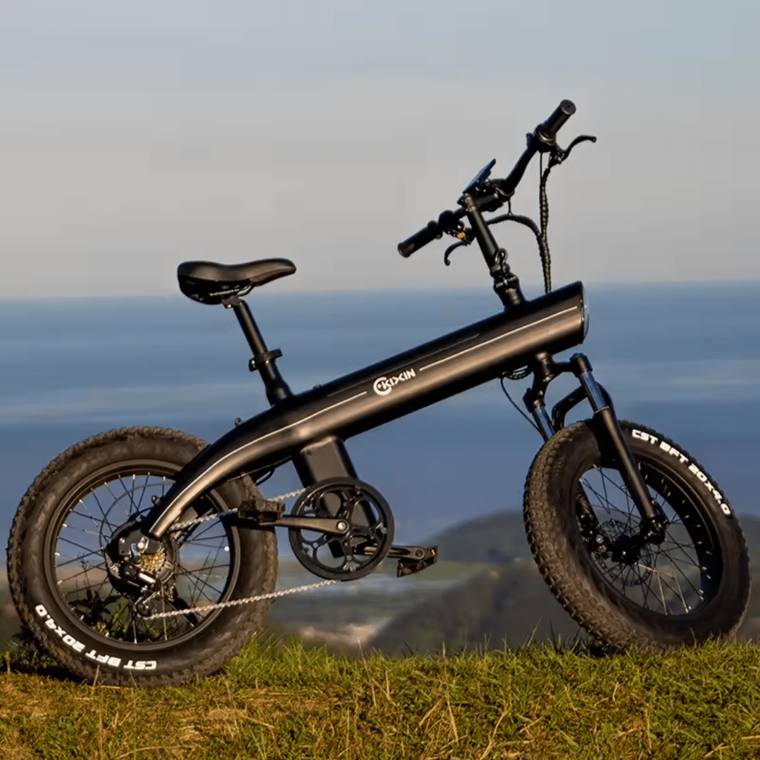 HX Q3 Plus - Electric bike - Wheelyshop