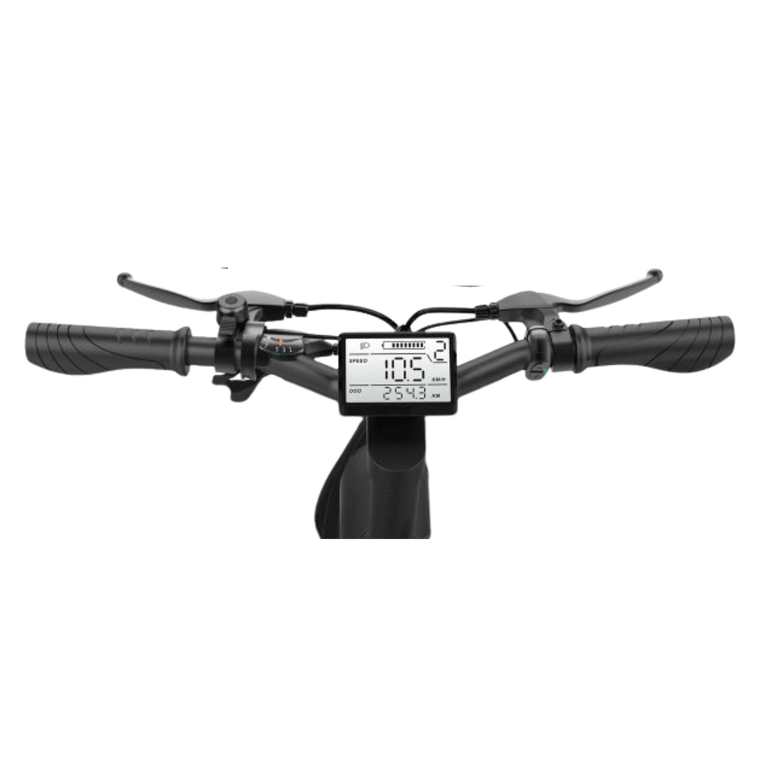 HX Q3 Plus - Electric bike - Wheelyshop