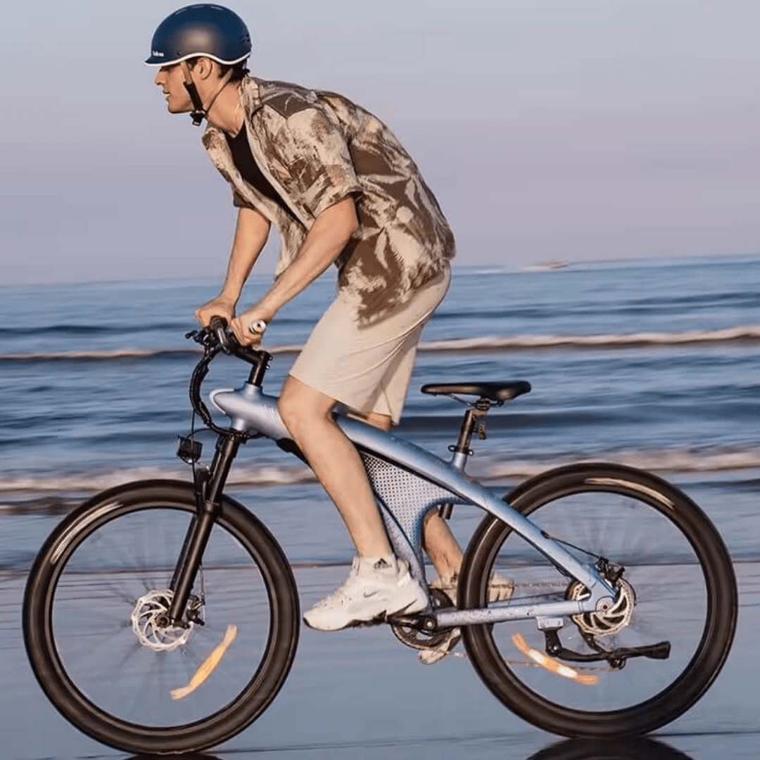 HX Q5 - Electric bike - Wheelyshop