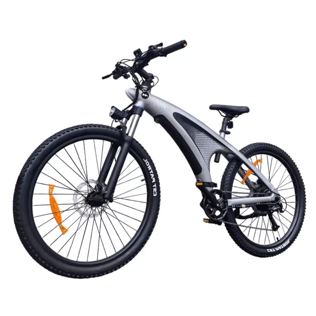 HX Q5 - Electric bike - Wheelyshop
