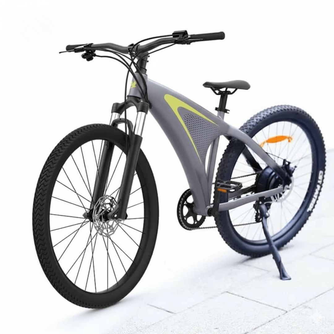 HX Q5 - Electric bike - Wheelyshop