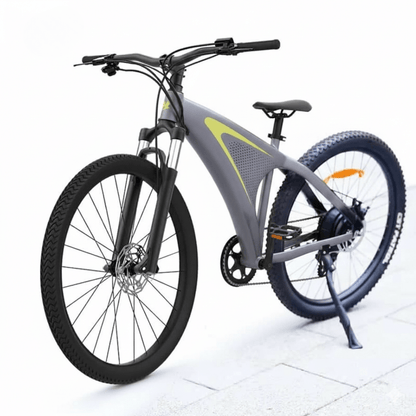 HX Q5 - Electric bike - Wheelyshop