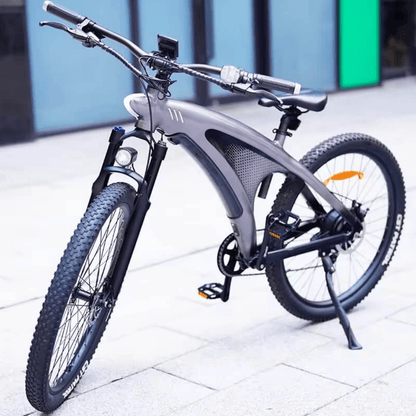 HX Q5 - Electric bike - Wheelyshop